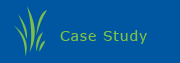Case Study