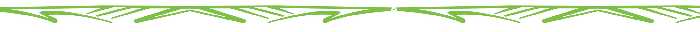 ECS Grass Graphic